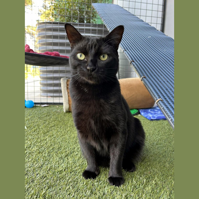 Photo of Faith Sta011629