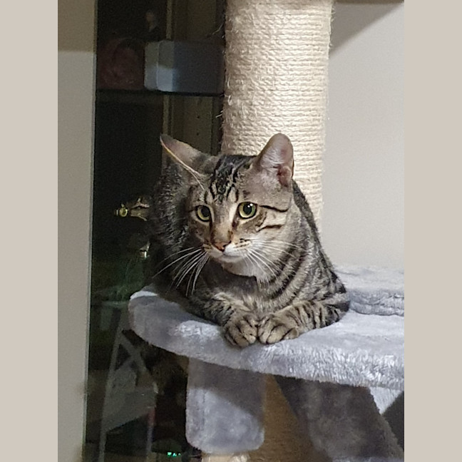 Photo of Willy Moriarty