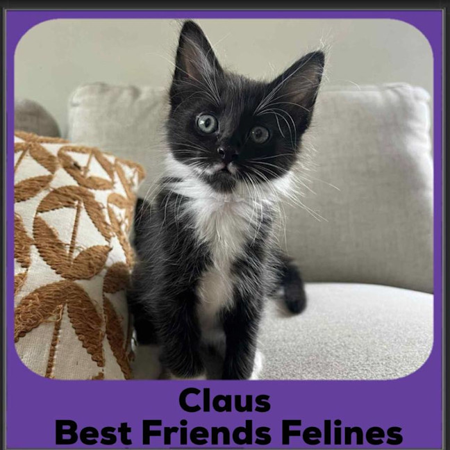 Photo of Claus 