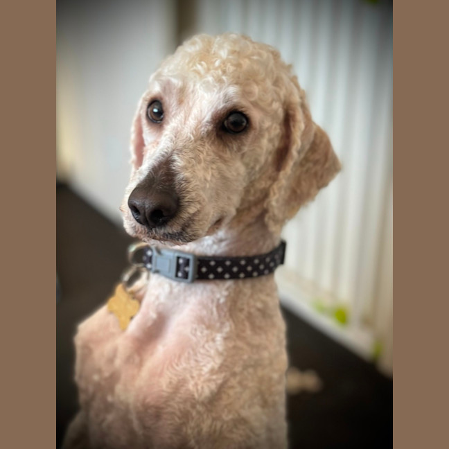 Photo of Quasar