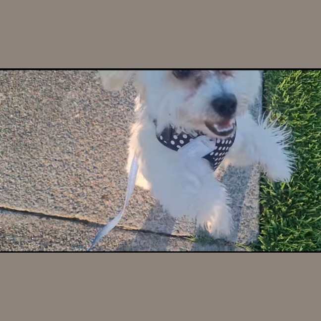 Photo of Connie Coconut 