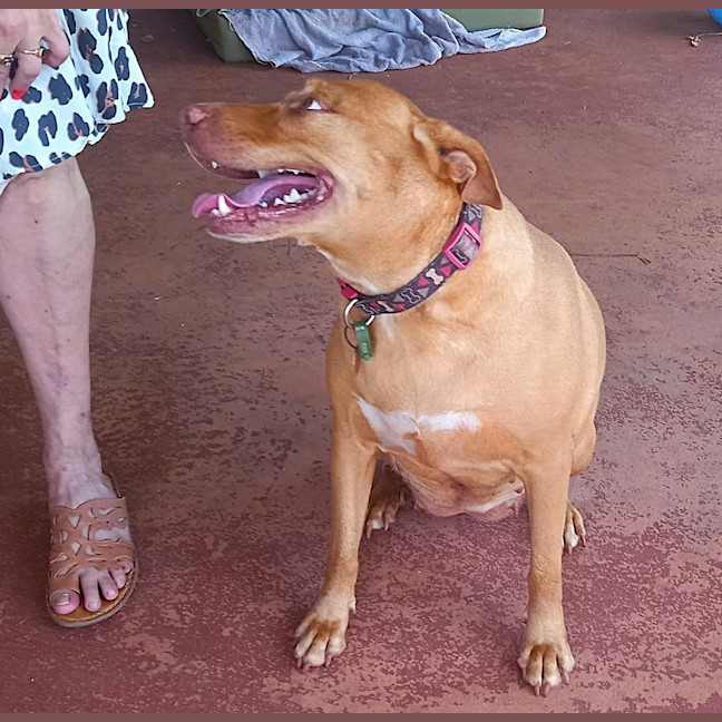 Photo of Pepper