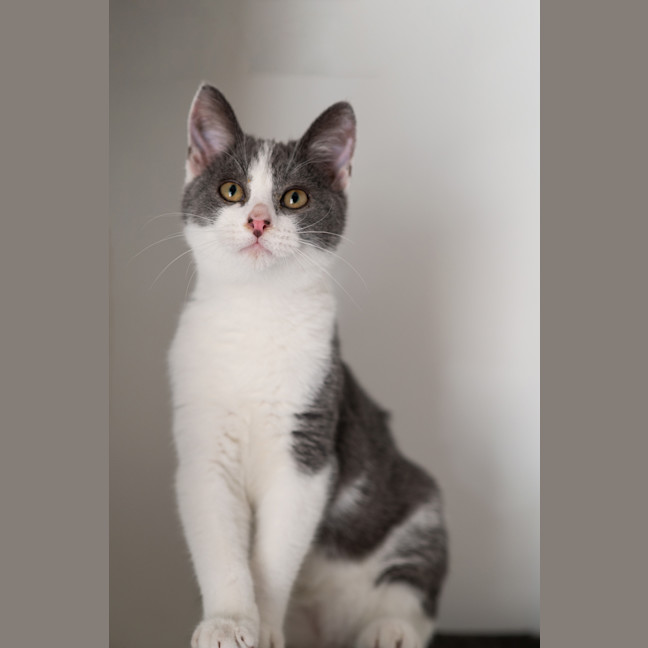 Photo of Miles