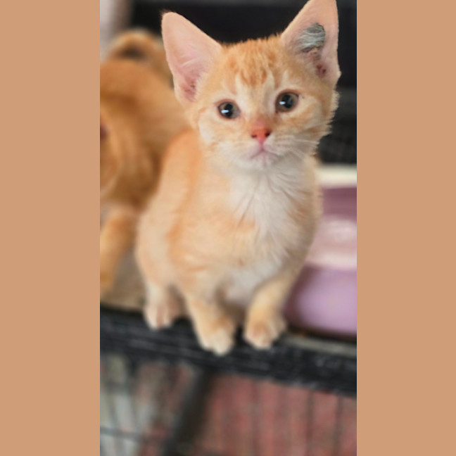Photo of Esmerelda