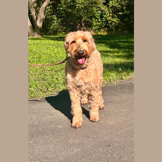 Photo of Gigi