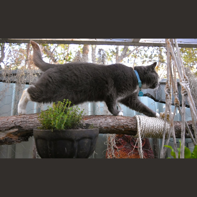 Photo of Sylvie