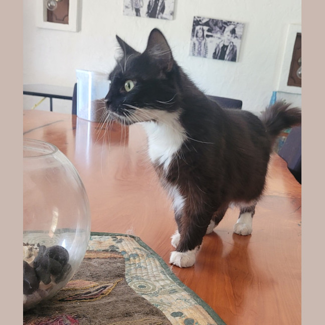 Photo of  💗 Vanessa 🐈‍⬛