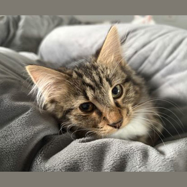 Photo of Jonesy