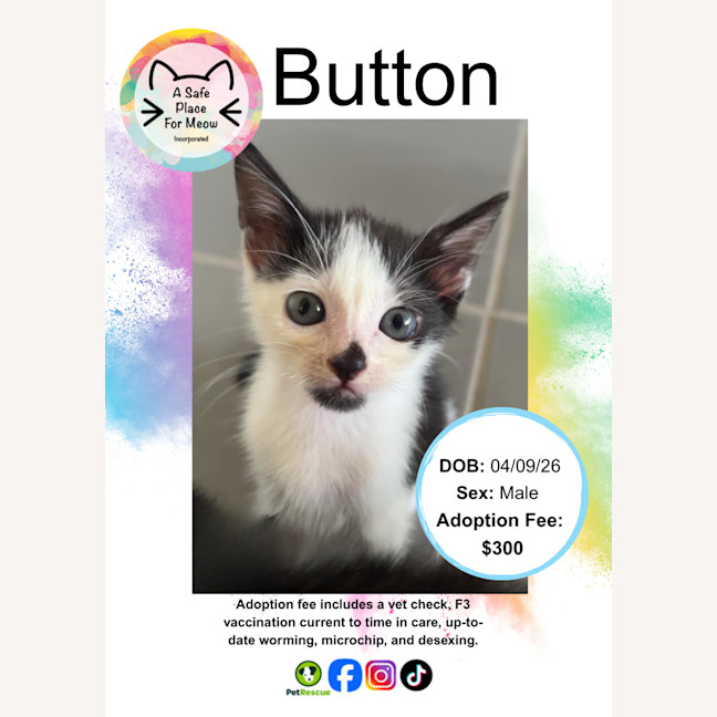 Photo of Button
