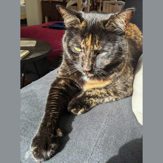 Photo of Freya