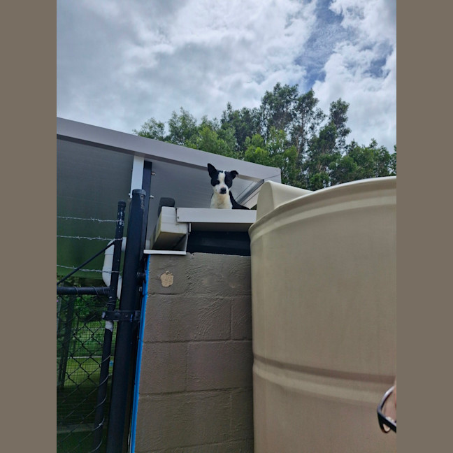 Photo of D1053 Alvin