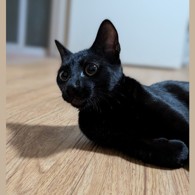 Photo of Veya