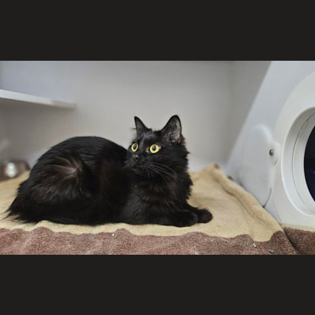 Photo of Bingus