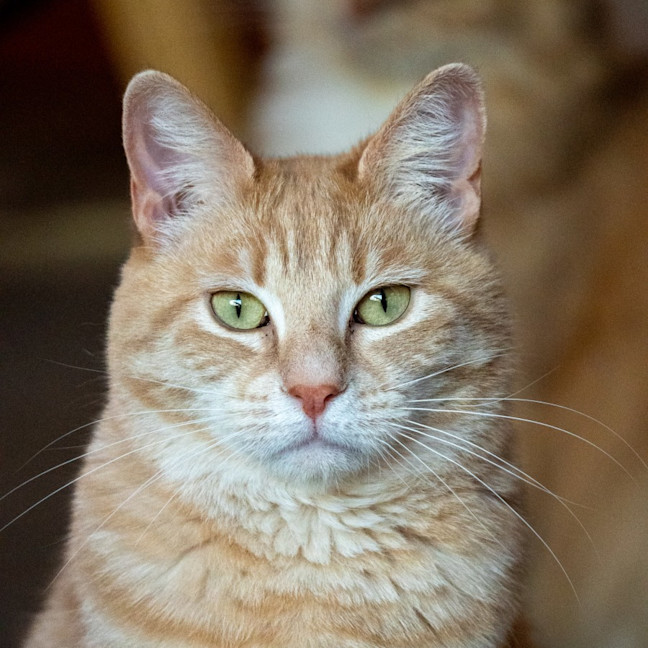 Photo of Sally & Denny