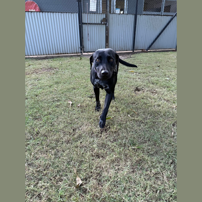 Photo of Luna