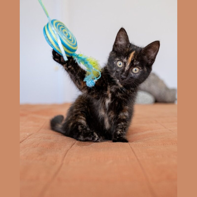 Photo of Tilly
