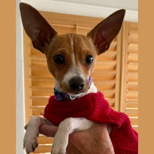 Photo of Pablo