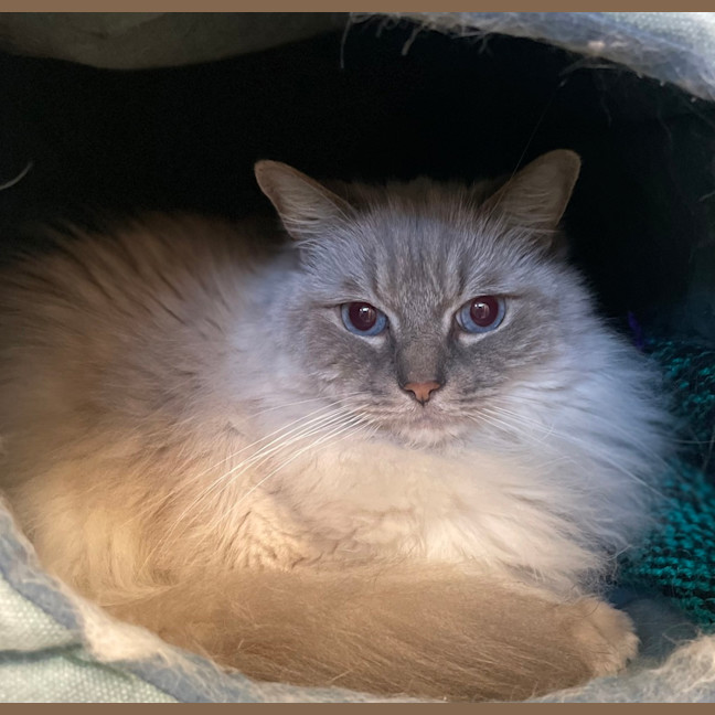 Photo of Sebastian