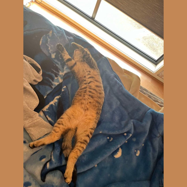 Photo of Nueve (Nui)