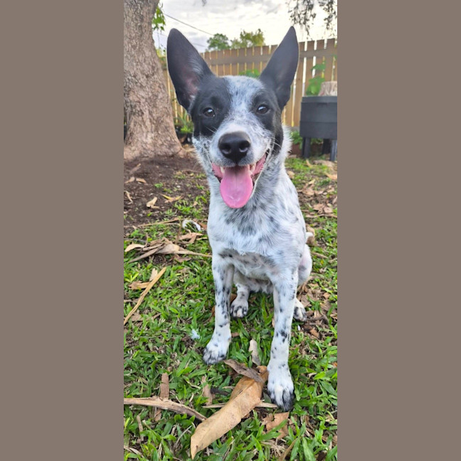 Photo of Temu