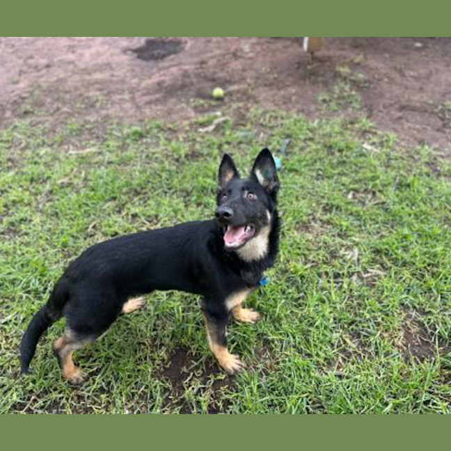 Photo of Coco