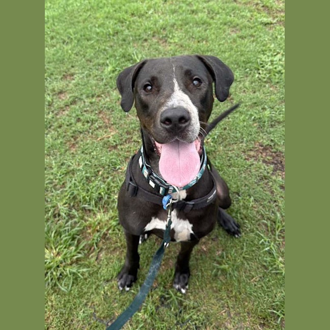 Photo of Buster