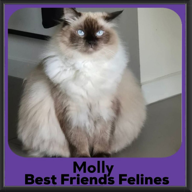 Photo of Molly