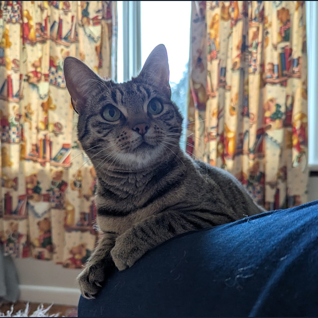 Photo of Desdemona