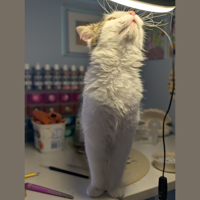 Photo of Jeffrey