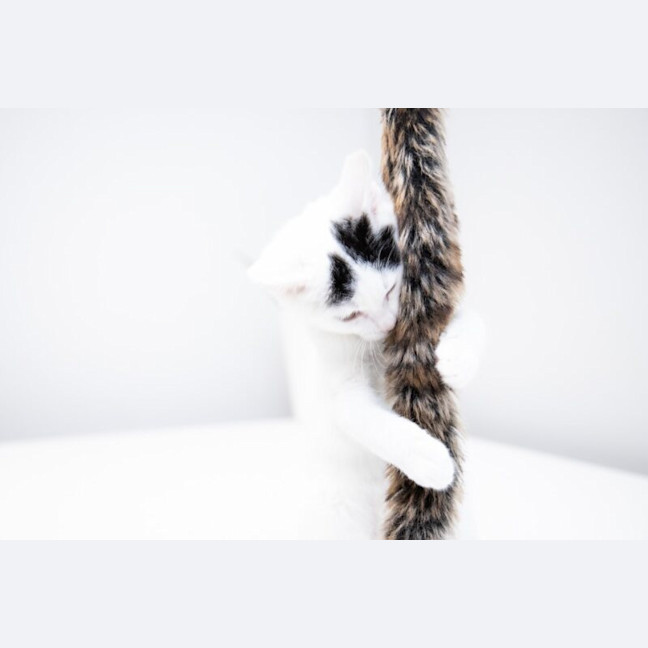 Photo of Cupid