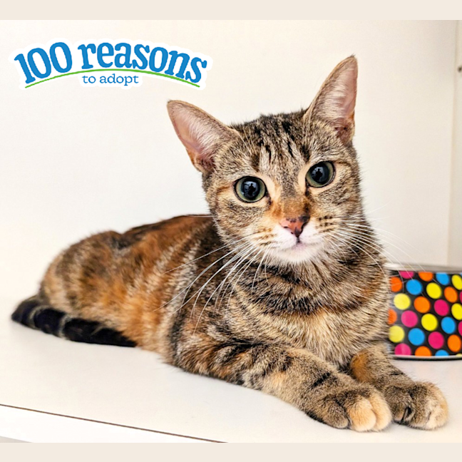 Photo of Mimmy White