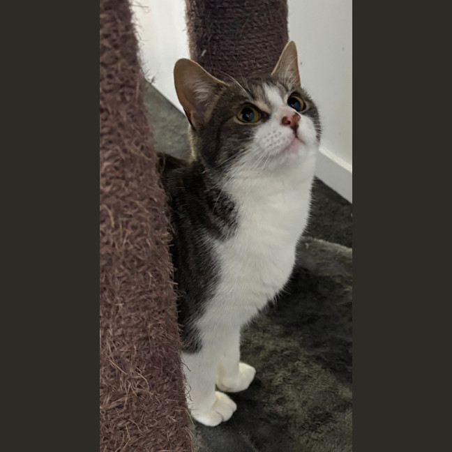 Photo of Sylvie 🌷