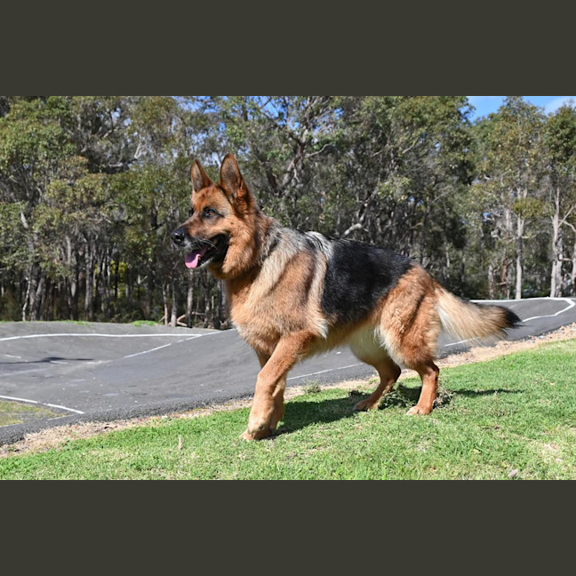 Photo of Ruby