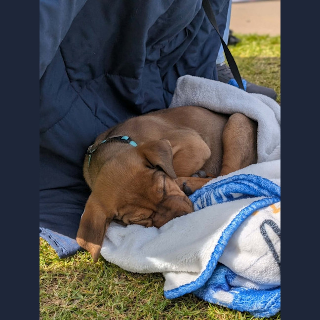 Photo of Ragnar