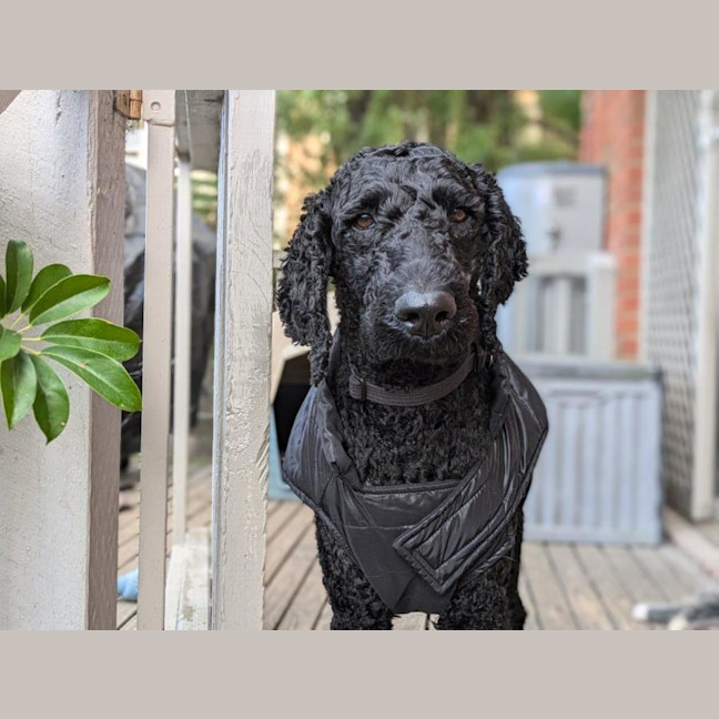 Photo of Arthur Russelton