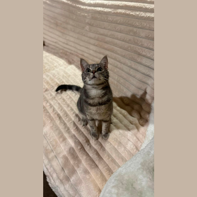 Photo of Mystery