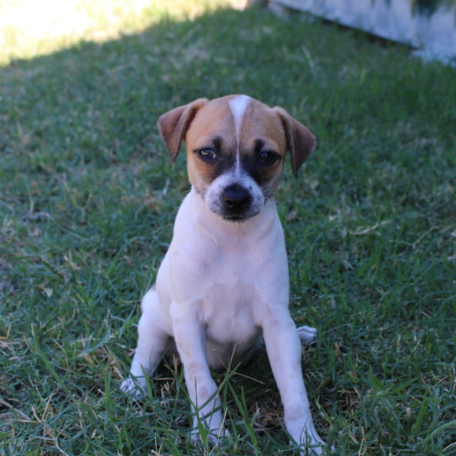 Photo of Mia