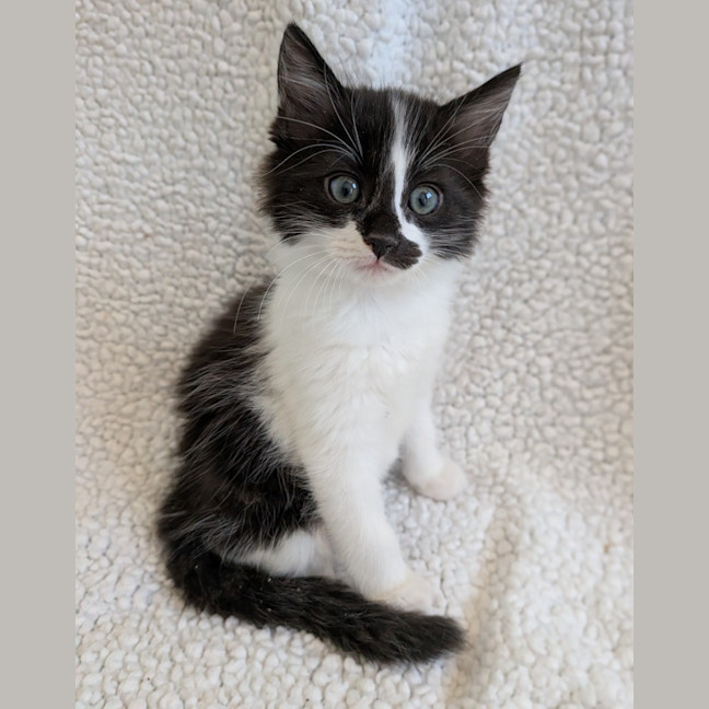 Photo of Jelly Beans