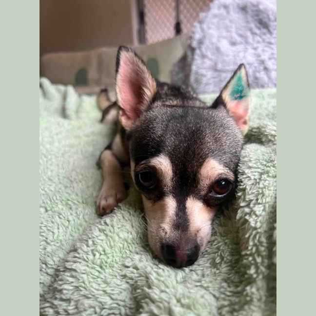 Photo of Pablo