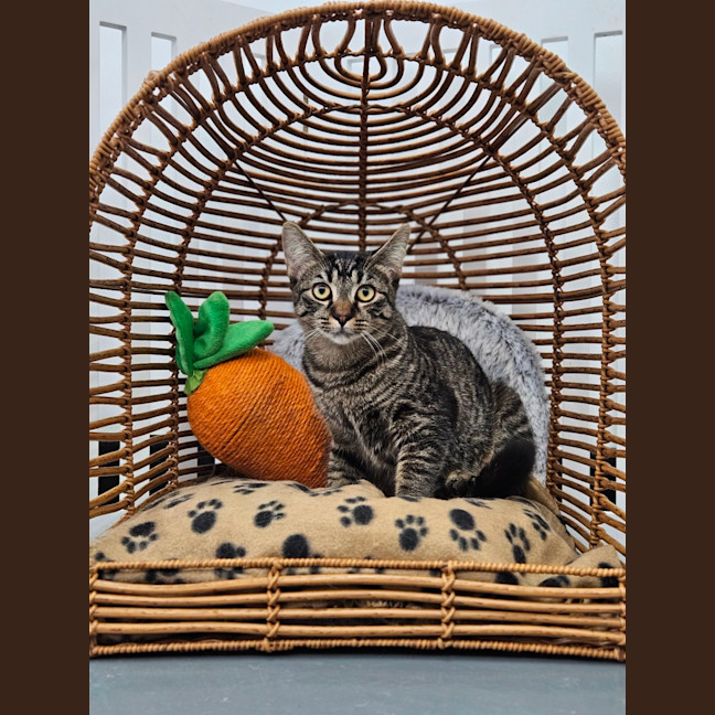 Photo of Gretel