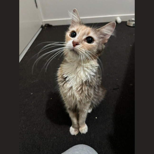 Photo of Sally