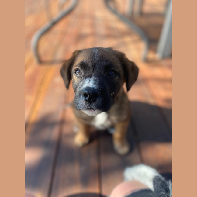 Photo of Dennis Reynolds 