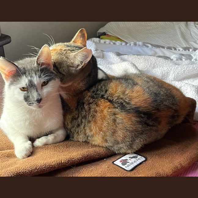 Photo of Frankie And Johnnie
