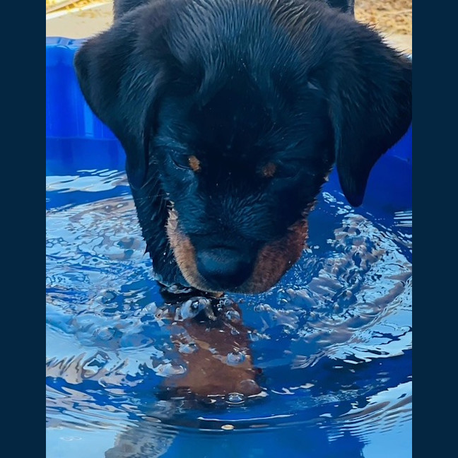 Photo of Stanley