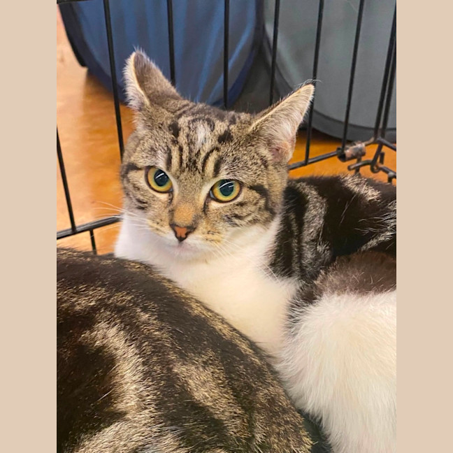 Photo of Jemima