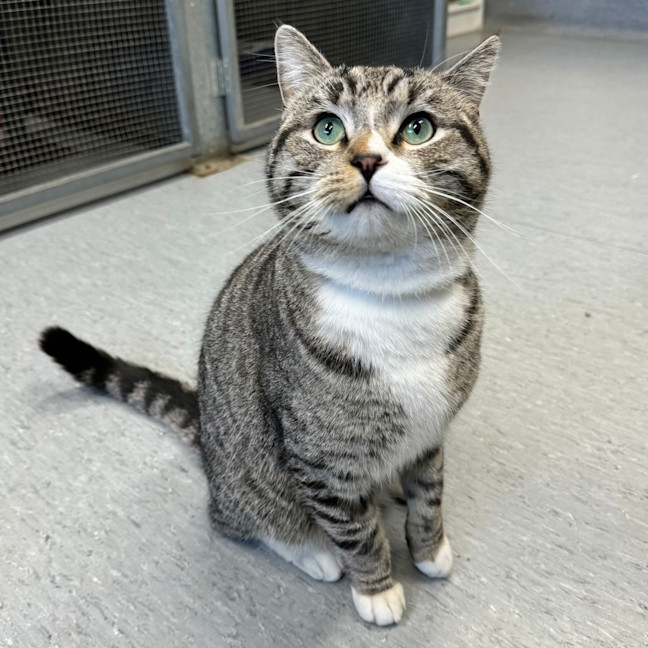 Photo of Winston