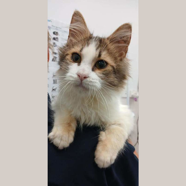 Photo of Bingley