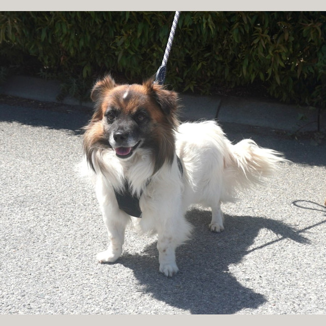 Photo of Bodie