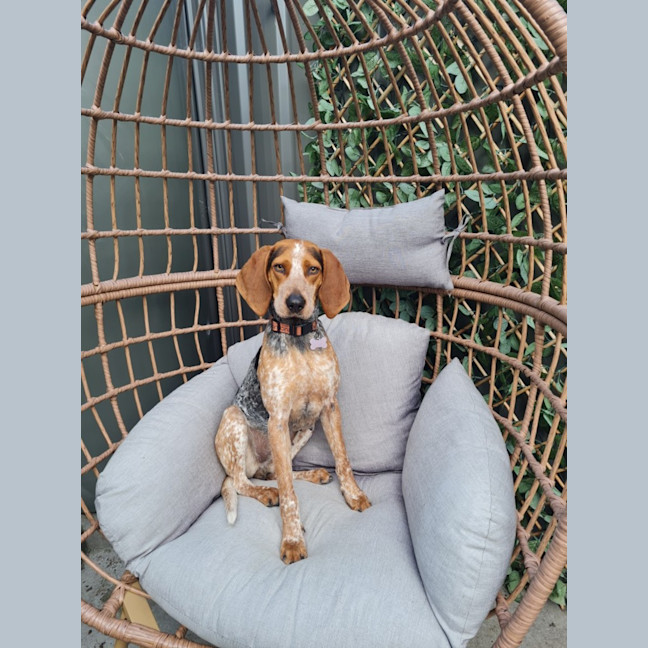 Photo of Harlow 