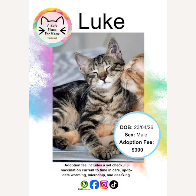 Photo of Luke